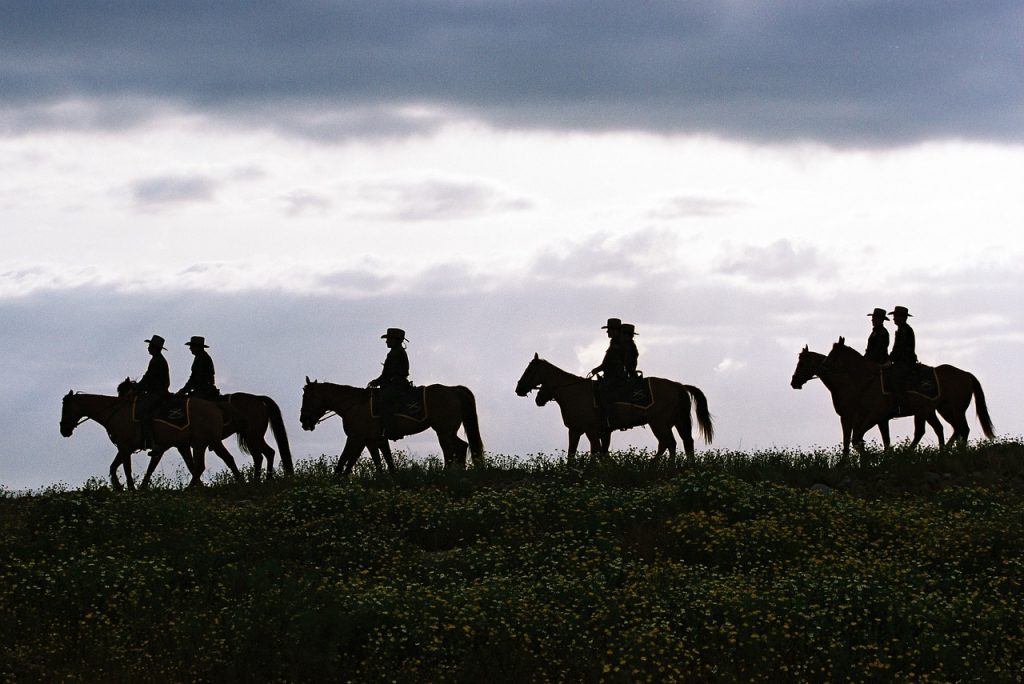 profile of eight cowboys riding horses at sunset